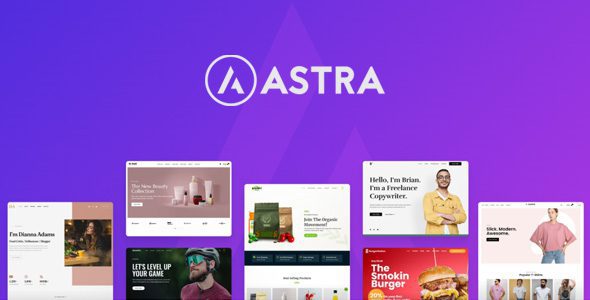astra theme most popular wordpress theme