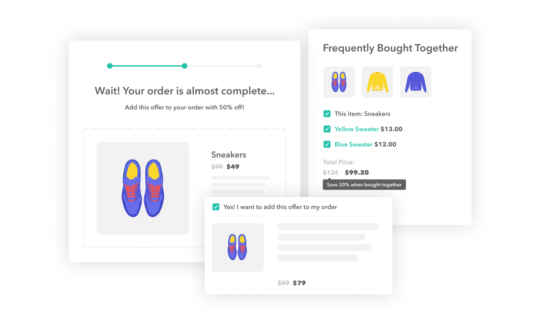Get Iconic Sales Booster, and Iconic Flux Checkout with this Delivery Slot