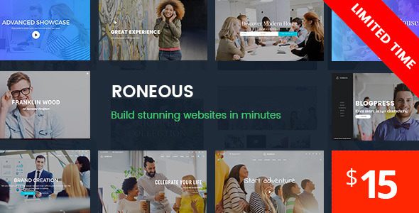 roneous 2 1 creative multi purpose wordpress theme