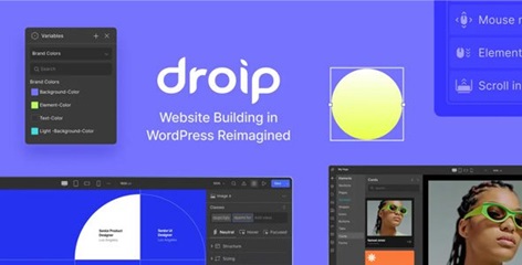 droip no code wordpress site builder