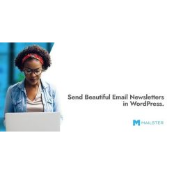 Mailster 4.1.15- Email Newsletter Plugin for WordPress